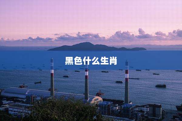 黑色什么生肖