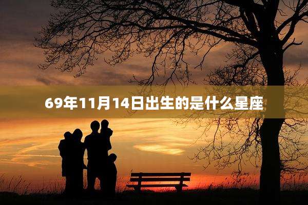 69年11月14日出生的是什么星座