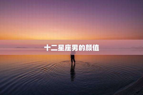 十二星座男的颜值