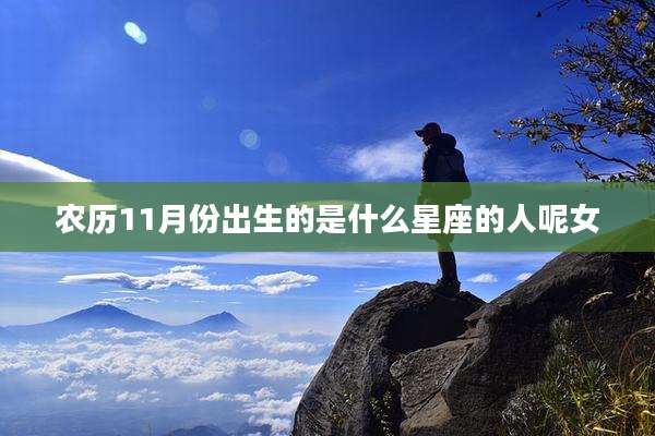 农历11月份出生的是什么星座的人呢女