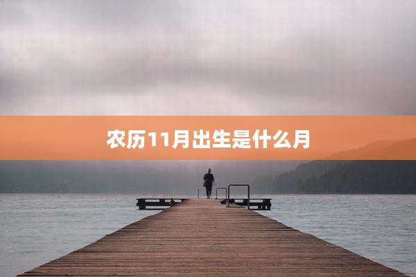 农历11月出生是什么月