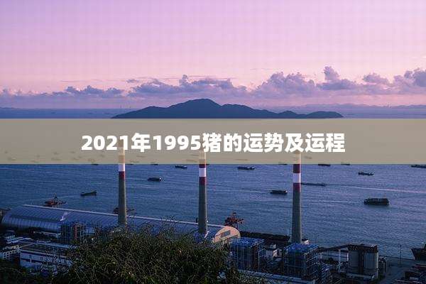 2021年1995猪的运势及运程