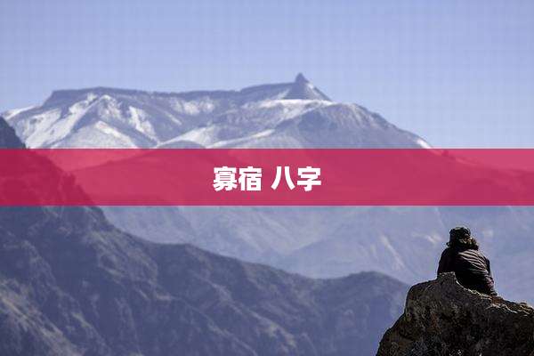 寡宿 八字