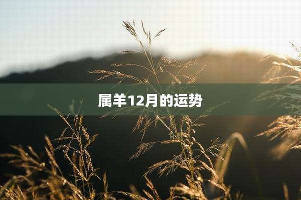 属羊12月的运势