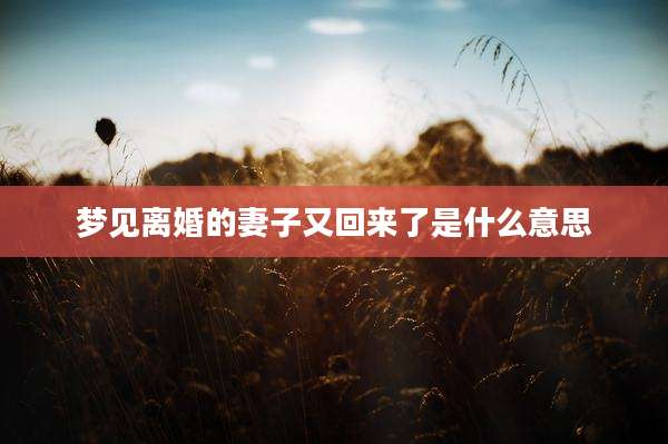 梦见离婚的妻子又回来了是什么意思