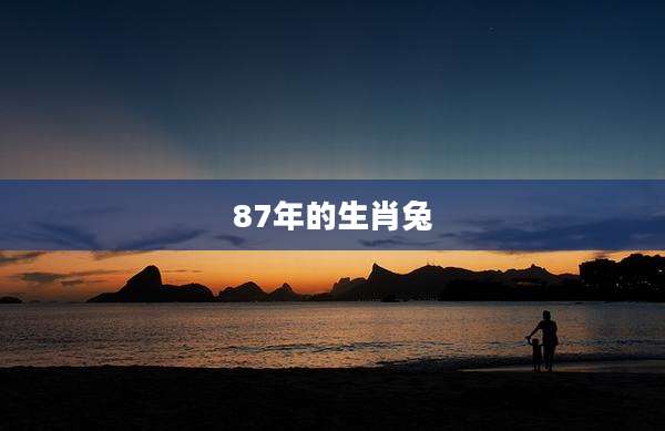 87年的生肖兔