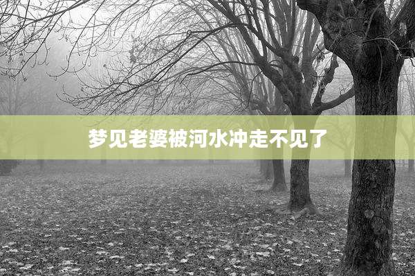 梦见老婆被河水冲走不见了