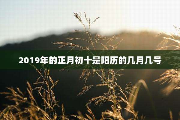 2019年的正月初十是阳历的几月几号