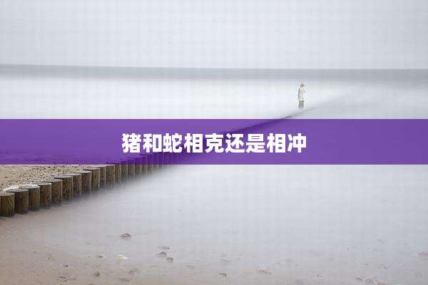 猪和蛇相克还是相冲
