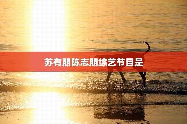 苏有朋陈志朋综艺节目是