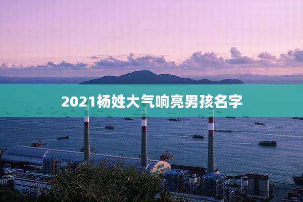 2021杨姓大气响亮男孩名字