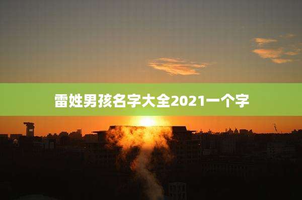 雷姓男孩名字大全2021一个字