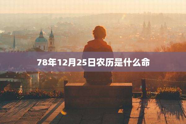 78年12月25日农历是什么命