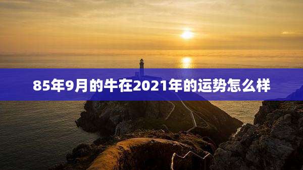 85年9月的牛在2021年的运势怎么样