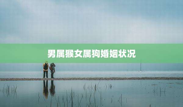男属猴女属狗婚姻状况