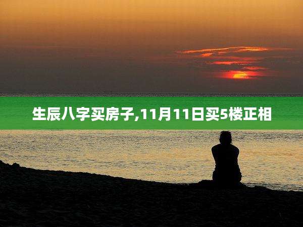 生辰八字买房子,11月11日买5楼正相