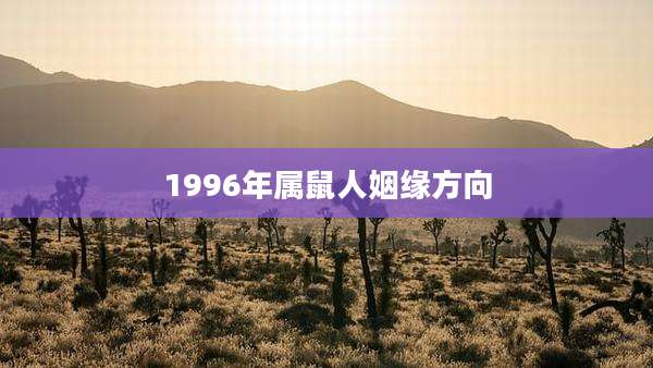 1996年属鼠人姻缘方向
