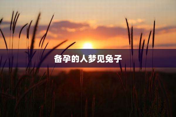 备孕的人梦见兔子