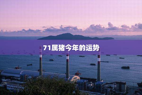 71属猪今年的运势
