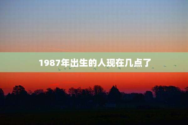 1987年出生的人现在几点了