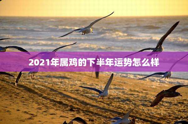 2021年属鸡的下半年运势怎么样
