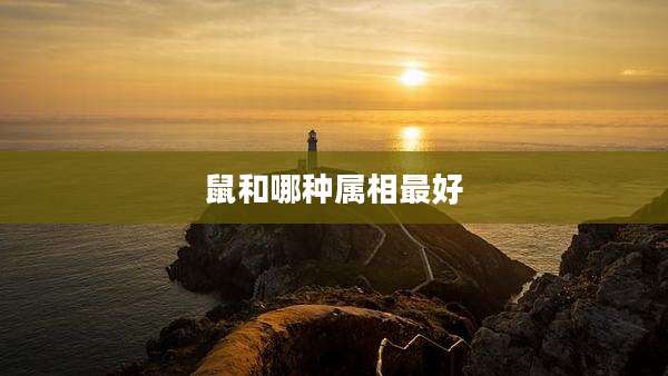 鼠和哪种属相最好