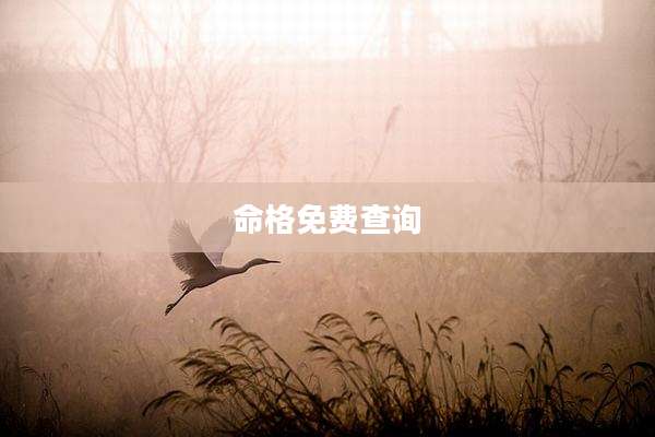命格免费查询