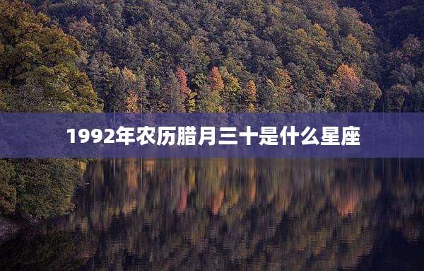 1992年农历腊月三十是什么星座