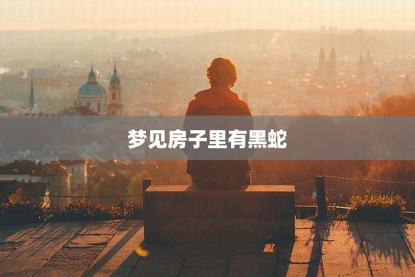 梦见房子里有黑蛇