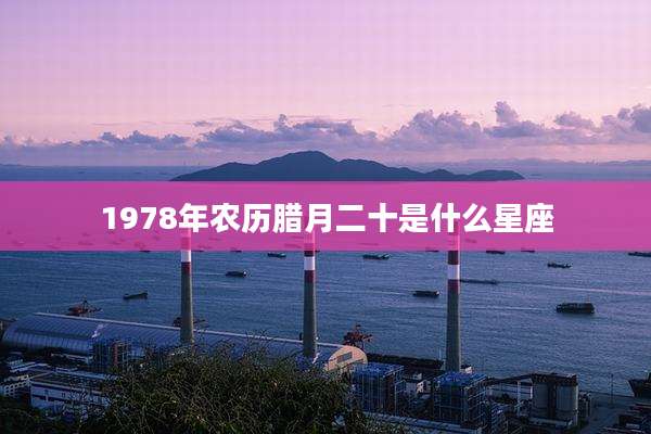 1978年农历腊月二十是什么星座