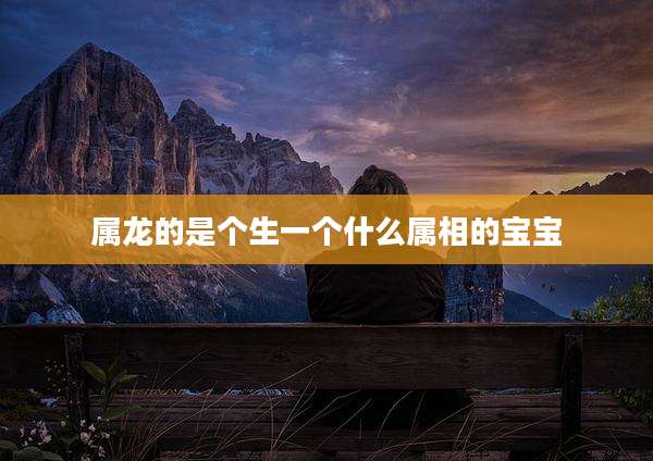 属龙的是个生一个什么属相的宝宝
