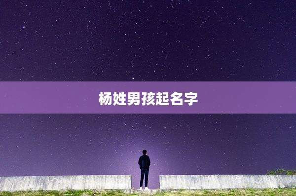 杨姓男孩起名字