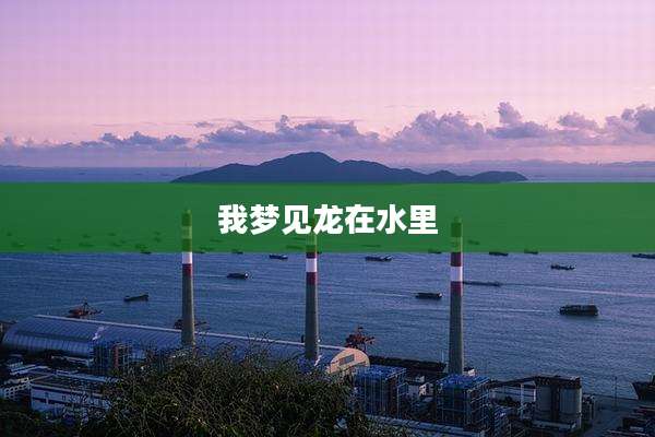 我梦见龙在水里