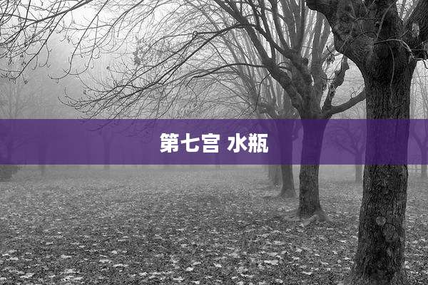 第七宫 水瓶