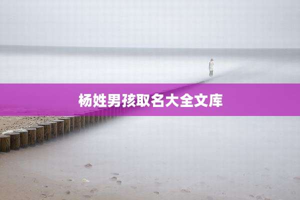 杨姓男孩取名大全文库