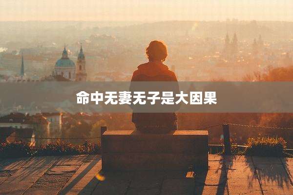 命中无妻无子是大因果