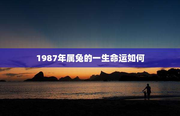 1987年属兔的一生命运如何