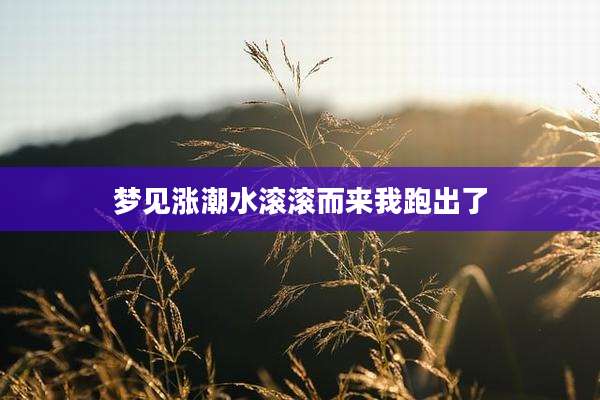梦见涨潮水滚滚而来我跑出了