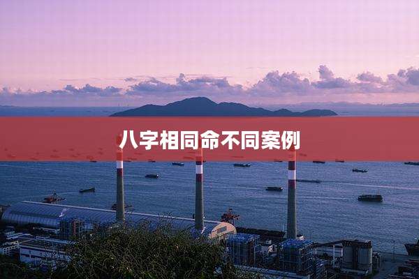 八字相同命不同案例