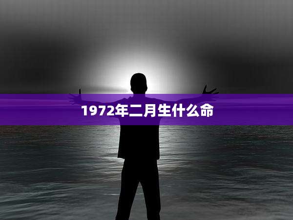 1972年二月生什么命