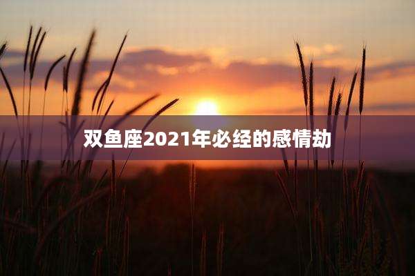 双鱼座2021年必经的感情劫