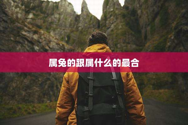 属兔的跟属什么的最合