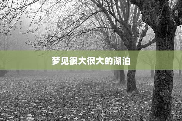 梦见很大很大的湖泊