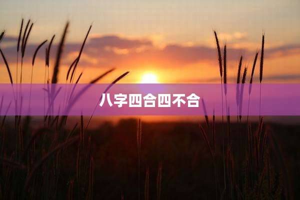 八字四合四不合