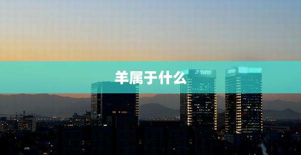 羊属于什么