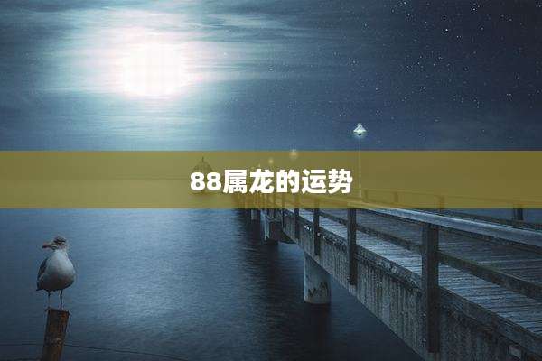 88属龙的运势