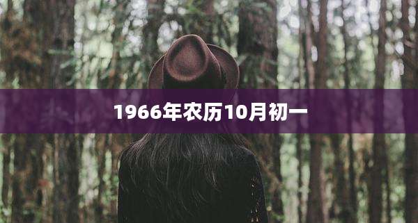 1966年农历10月初一