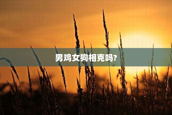 男鸡女狗相克吗?