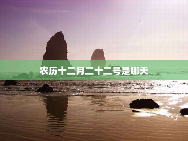 农历十二月二十二号是哪天