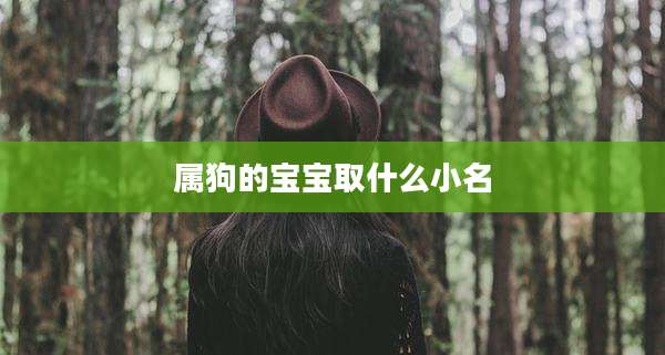 属狗的宝宝取什么小名